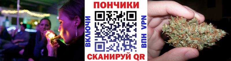 Купить  Кудрово  Марихуана сатива 